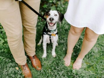 A dog sitting in between two standing people.